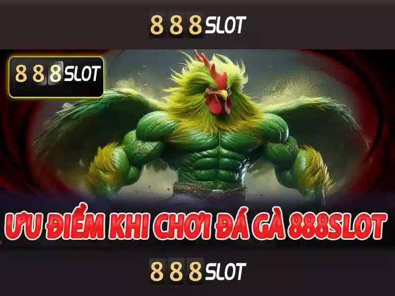 Tỷ lệ cược động thể thao AI